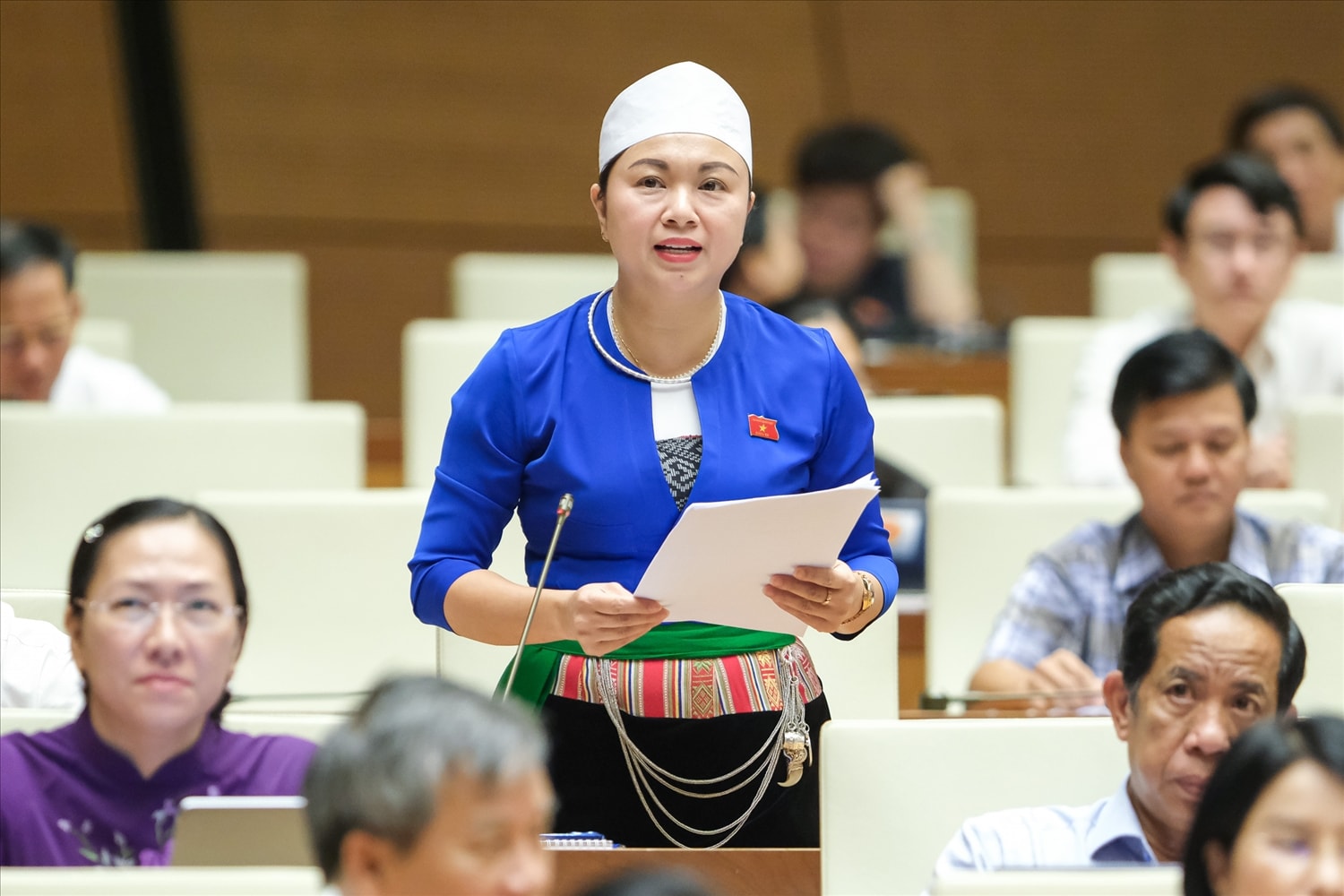 Đại biểu Đặng Bích Ngọc - Đoàn ĐBQH tỉnh Hòa Bình Đại biểu Đặng Bích Ngọc - Đoàn ĐBQH tỉnh Hòa Bình