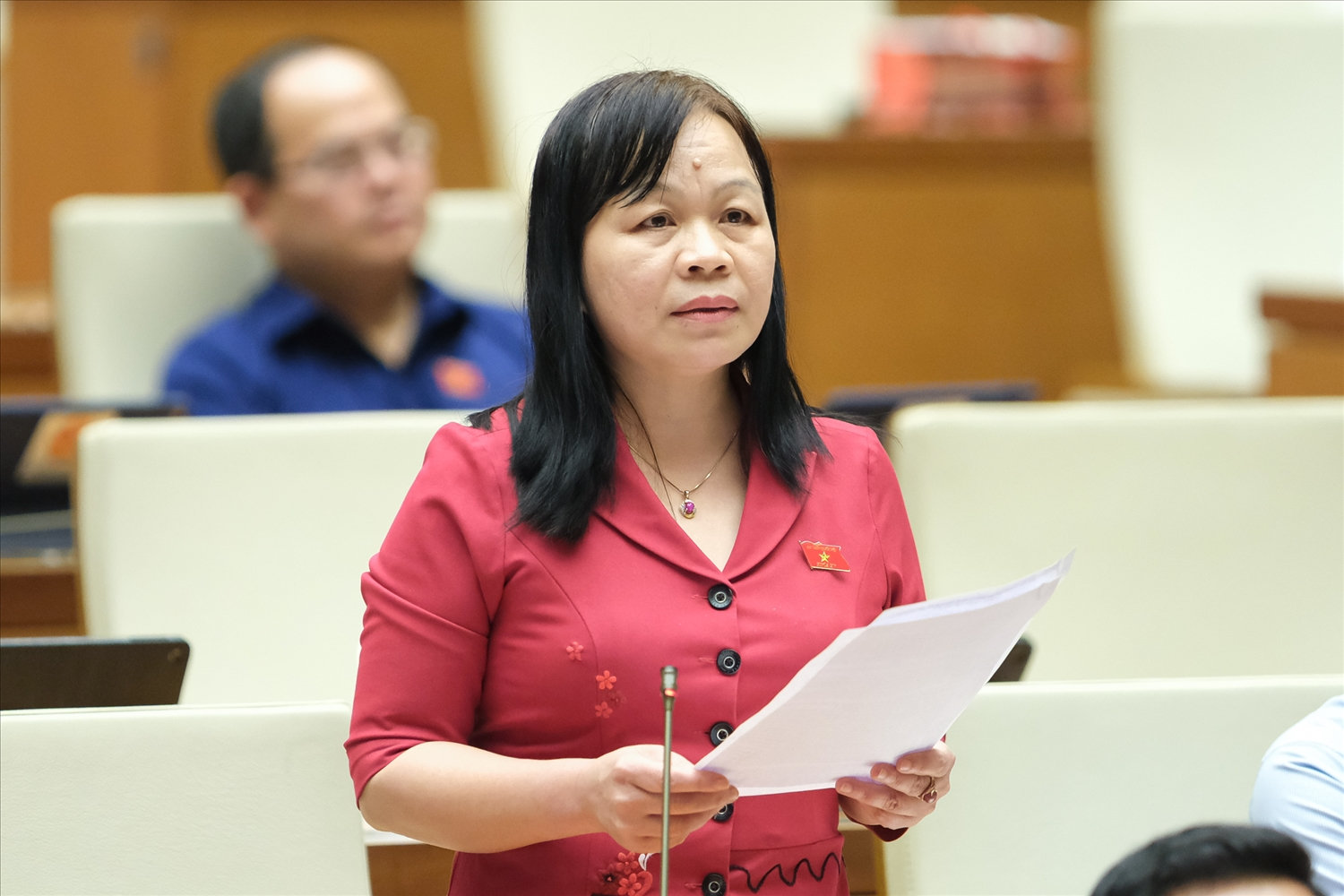 Đại biểu Nguyễn Thị Mai Hoa - Đoàn ĐBQH tỉnh Đồng Tháp