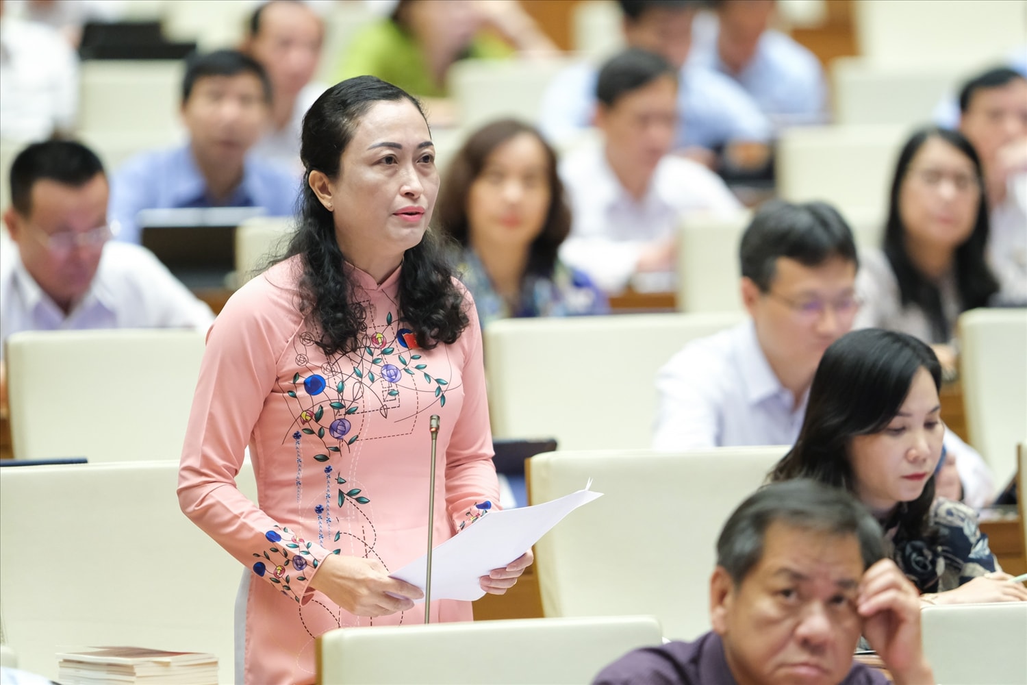 Đại biểu Trần Thị Hoa Ry - Đoàn ĐHQH tỉnh Bạc Liêu Đại biểu Trần Thị Hoa Ry - Đoàn ĐHQH tỉnh Bạc Liêu