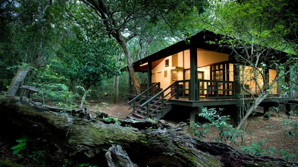 Một Khu nghỉ dưỡng sinh thái Phinda Forest Lodge (Nam Phi). Một phòng nghỉ tronng Khu nghỉ dưỡng sinh thái Phinda Forest Lodge (Nam Phi).