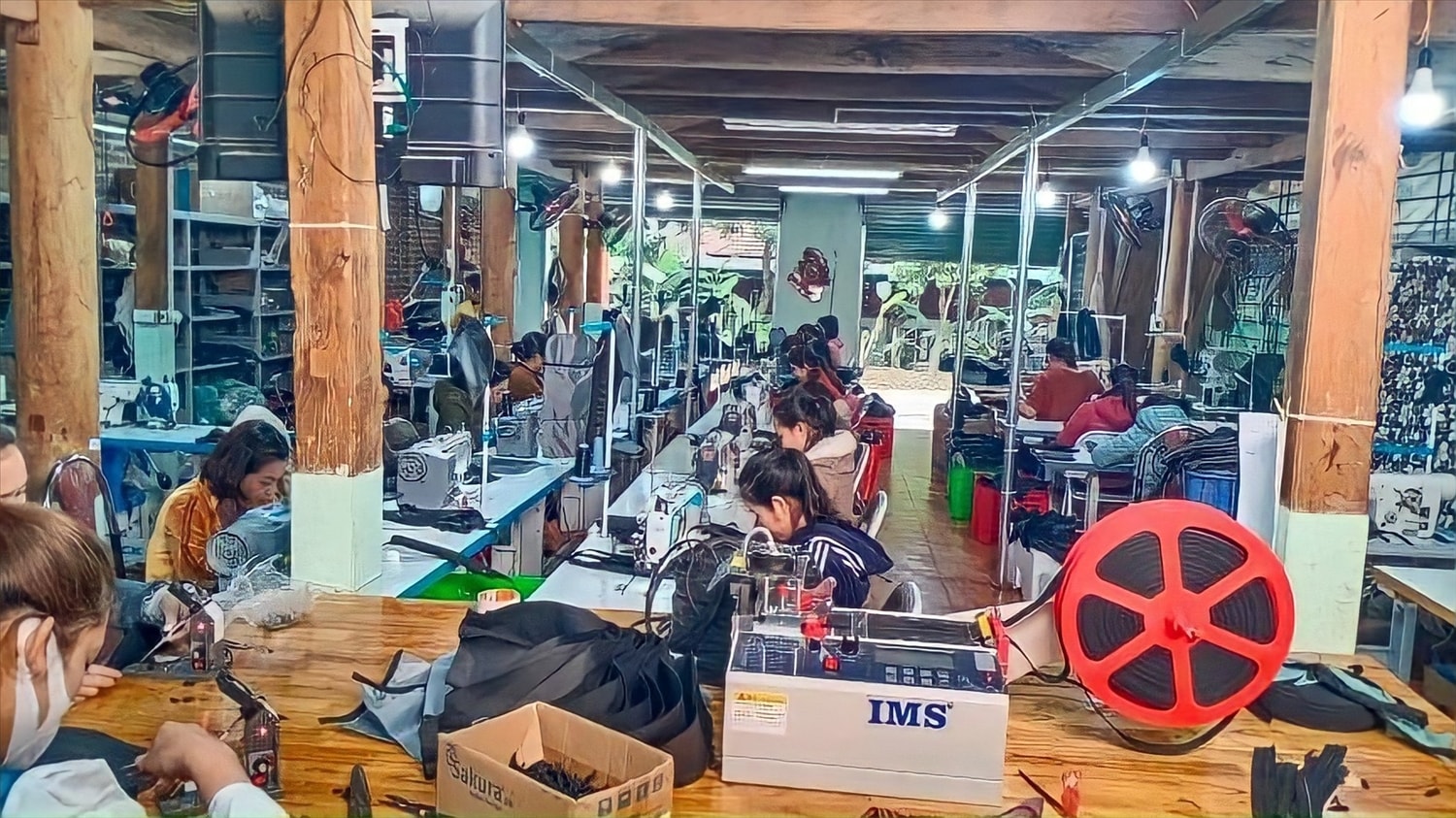 Các thành viên trong HTX chăm chỉ làm việc