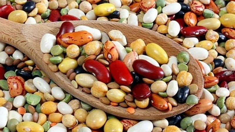 Nên ăn gì để tăng cường trí nhớ cho trẻ trong mùa thi? 4