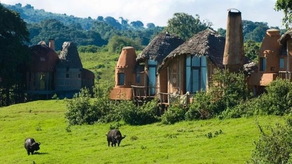 Khu bảo tồn hoang dã Bushmans Kloof 