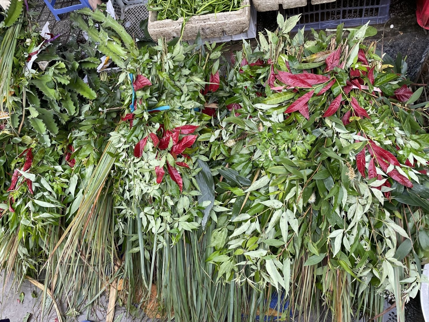 Theo các tiểu thương tại TP Hồ Chí Minh, giá các loại lá dùng trong ngày Tết Đoan Ngọ năm nay cũng tăng nhẹ, nhưng họ vẫn giữ giá bàn để chia sẻ khó khăn với người tiêu dùng. Người dân thường mua 5 loại lá: bạch đàn, xương rồng, ngũ trảo, dâu tằm ăn và sả về nấu nước xông trong ngày Tết Đoan Ngọ để giảm bớt bệnh tật Theo các tiểu thương tại TP Hồ Chí Minh, giá các loại lá dùng trong ngày Tết Đoan Ngọ năm nay cũng tăng nhẹ, nhưng họ vẫn giữ giá bàn để chia sẻ khó khăn với người tiêu dùng. Người dân thường mua 5 loại lá: bạch đàn, xương rồng, ngũ trảo, dâu tằm ăn và sả về nấu nước xông trong ngày Tết Đoan Ngọ để giảm bớt bệnh tật
