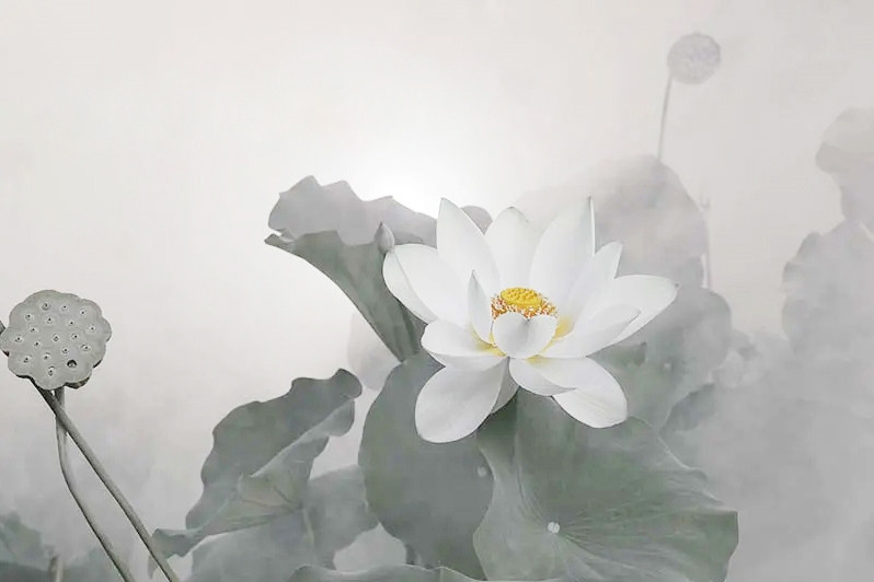 LỜI CẢM ƠN