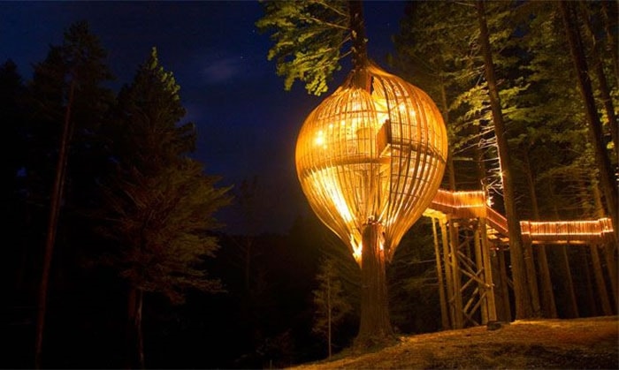 Ngôi nhà trên cây Redwoods ở New Zealand