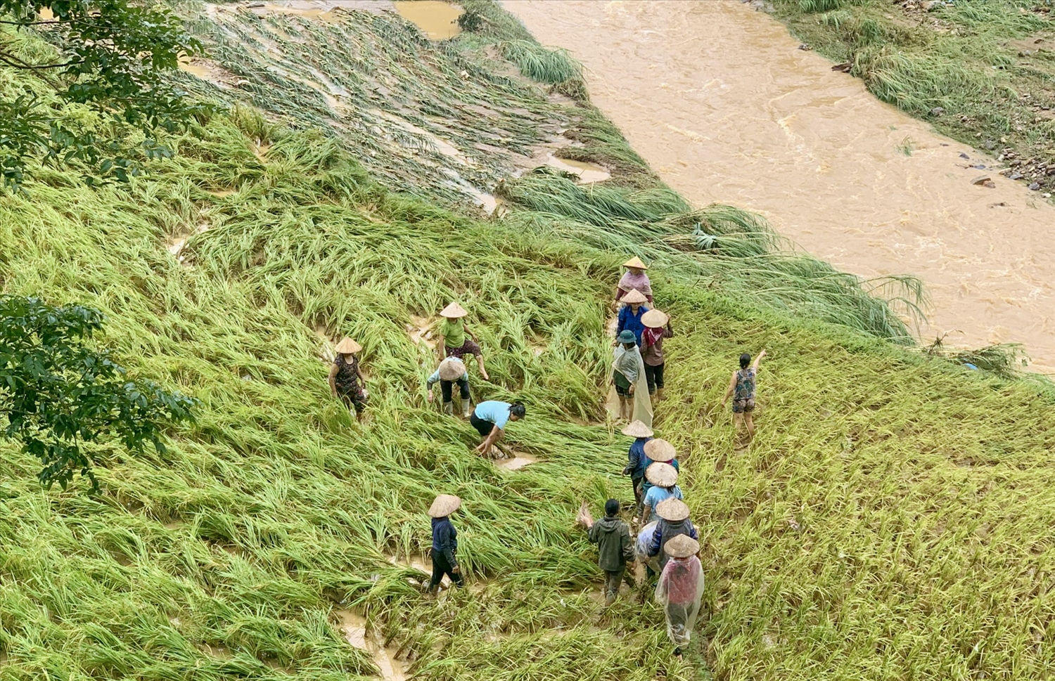 Lào Cai: Mưa lớn gây thiệt hại nhiều tài sản, hoa màu