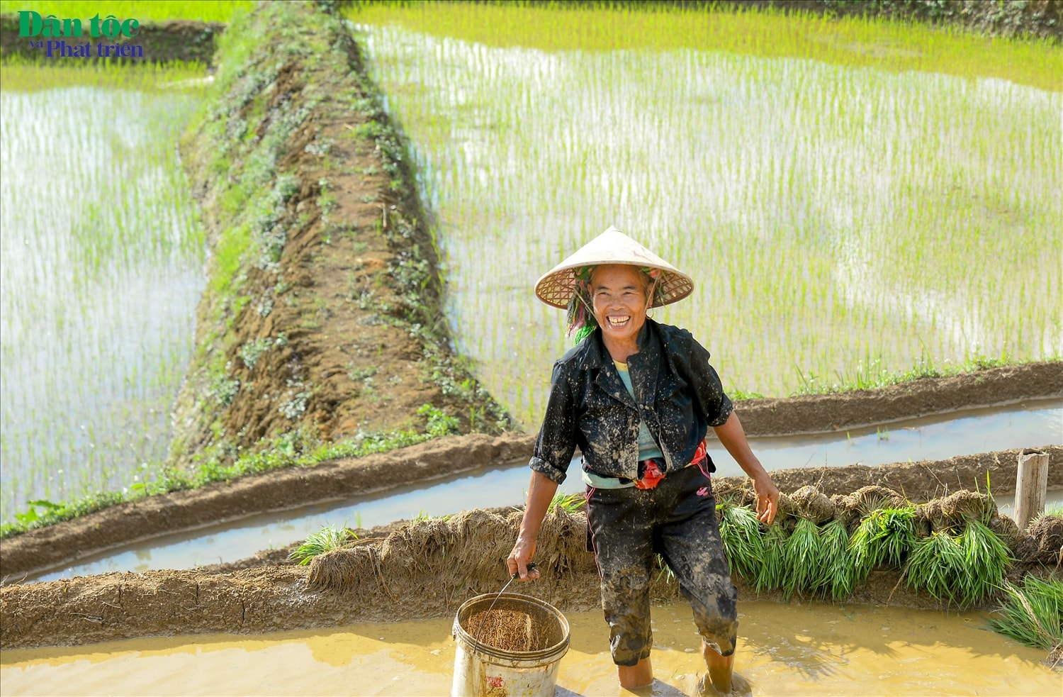 Nụ cười chất phác của người lao động trên những cánh đồng