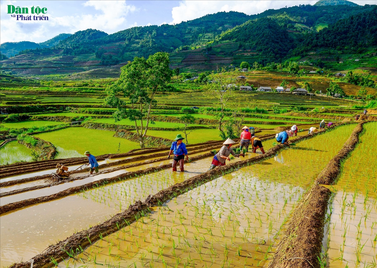 Khung cảnh lao động đời thường của con người nơi đây hòa quyện vào thiên nhiên hoang sơ, tươi đẹp luôn làm say đắm lòng người mỗi dịp ghé qua
