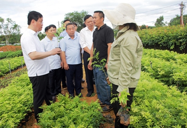 Lãnh đạo tỉnh Nghệ An thăm vườn ươm cây giống ở huyện Tân Kỳ