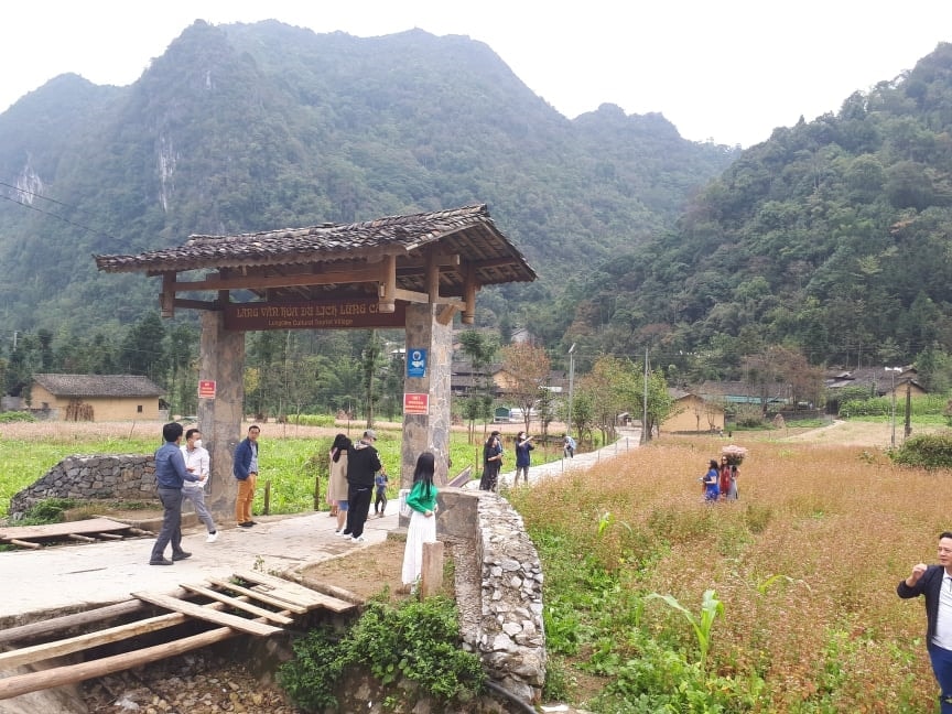 Làng văn hóa du lịch Lũng Cầm, xã Sủng Là, huyện Đồng Văn, tỉnh Hà Giang, có cánh đồng hoa tam giác mạch và bối cảnh quay phim 