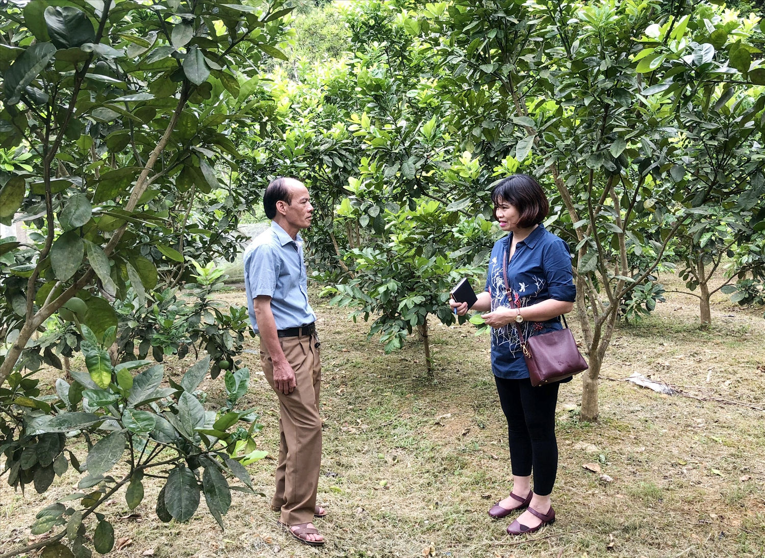 Nhà báo Phương Hạ, Phó Tổng Biên tập Báo Dân tộc và Phát triển thường xuyên có những chuyến công tác tìm hiểu thông tin, phản ánh về đời sống vùng đồng bào DTTS và miền núi