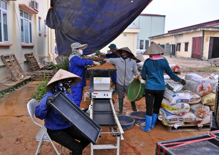 Lúa giống được cung ứng kịp thời, tạo thuận lợi cho nông dân gieo cấy đúng khung thời vụ Lúa giống được cung ứng kịp thời, tạo thuận lợi cho nông dân gieo cấy đúng khung thời vụ