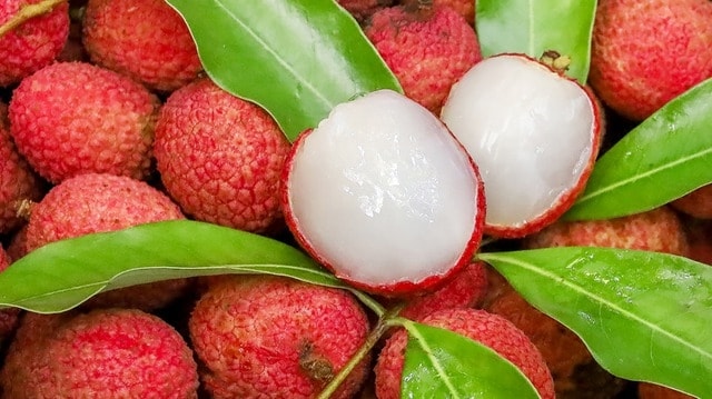 Bài thuốc dân gian chữa bệnh từ quả vải 1