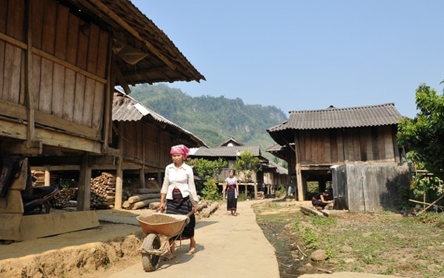 Ảnh minh họa Ảnh minh họa