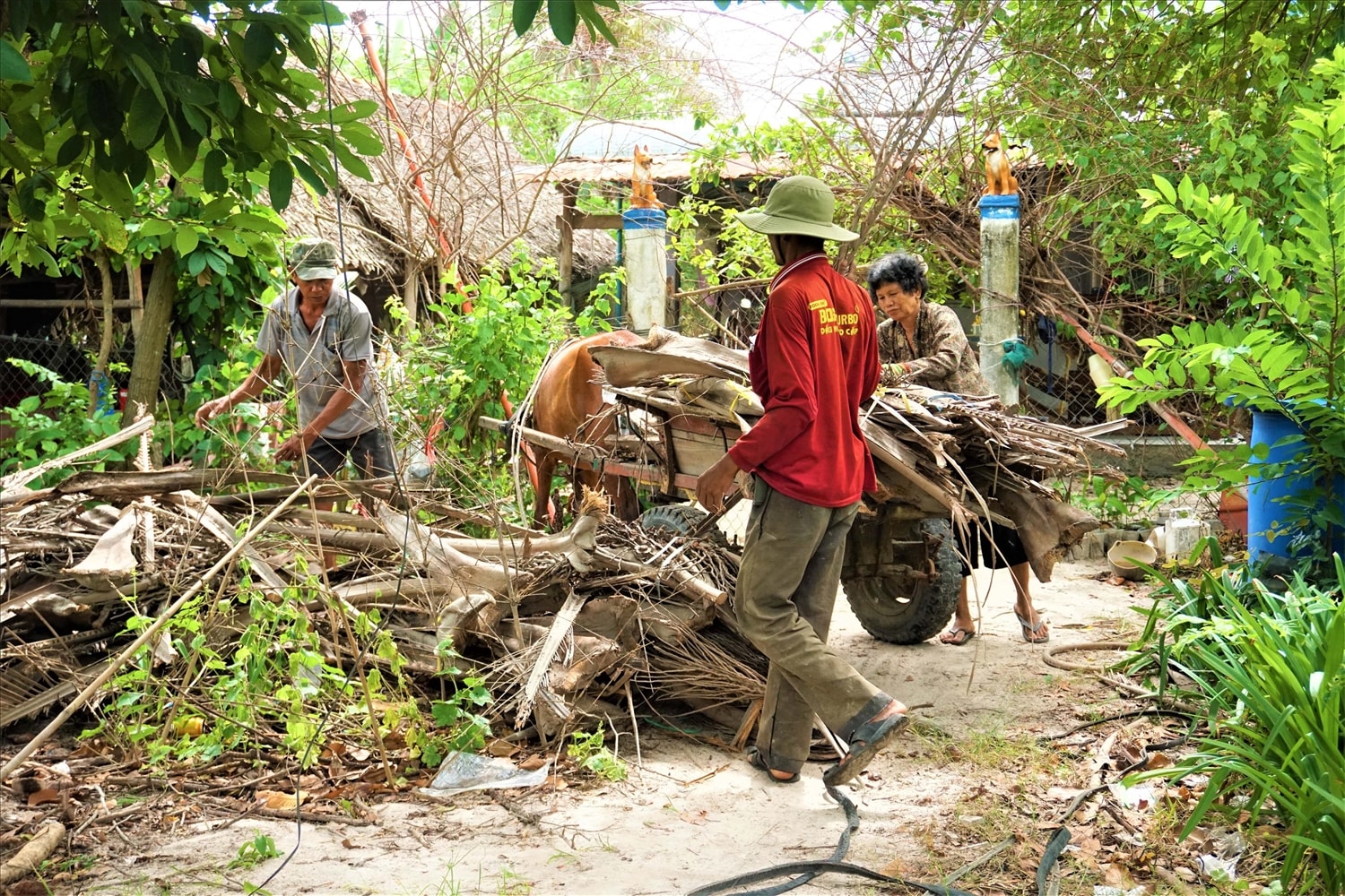 Xe ngựa là phương tiện giao thông hữu dụng của đồng bào Khmer ở vùng Thất Sơn