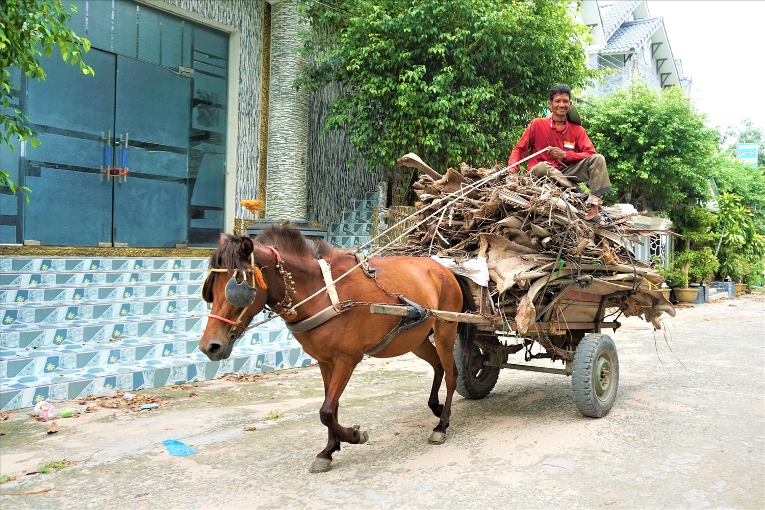 Lúc cao điểm mỗi ngày các phu xe có thể kiếm từ 300 – 500 nghìn dồng từ việc chở thuê
