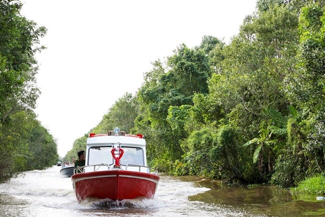 Thủ tướng Phạm Minh Chính và đoàn công tác đi khảo sát thực địa tại Khu Bảo tồn thiên nhiên đất ngập nước Lung Ngọc Hoàng thuộc huyện Phụng Hiệp. (Ảnh: VGP/Nhật Bắc)