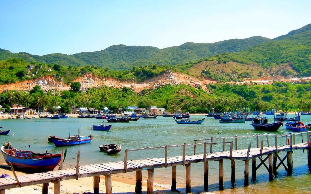 Hỗ trợ phát triển sản xuất nông nghiệp cho hộ nghèo, cận nghèo. Ảnh minh họa