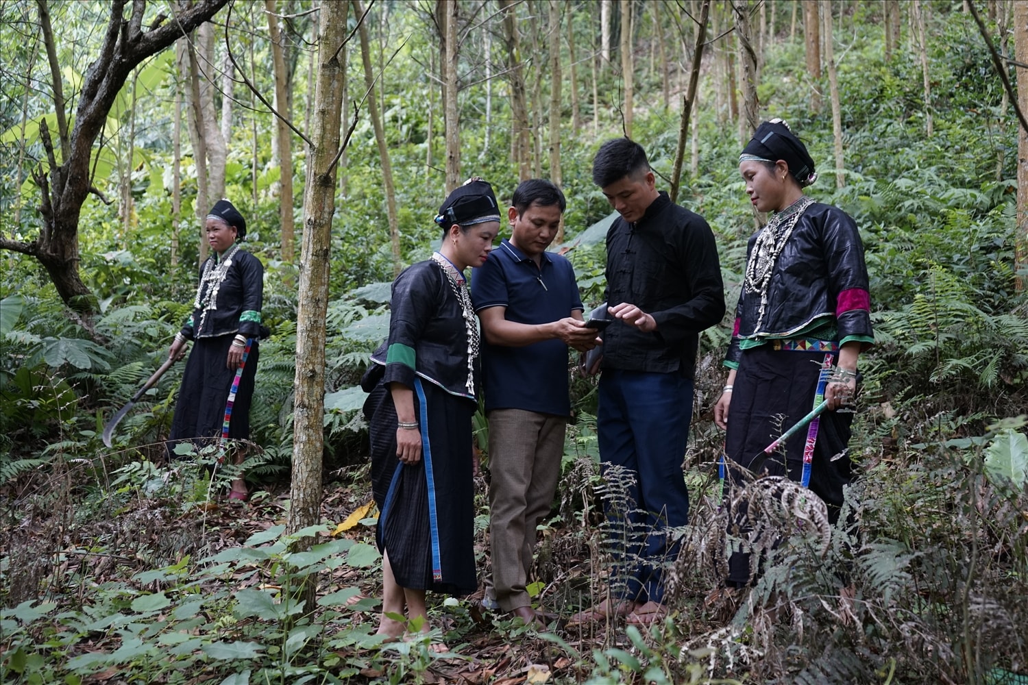 Bí thư Chi bộ, Trưởng thôn Bản Giáng Thèn Văn Hiển cùng cán bộ lâm nghiệp xã và người dân kiểm tra diện tích đất rừng cập nhật trên phần mềm điện thoại. Bí thư Chi bộ, Trưởng thôn Bản Giáng Thèn Văn Hiển cùng cán bộ lâm nghiệp xã và người dân kiểm tra diện tích đất rừng cập nhật trên phần mềm điện thoại.