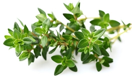 Những loại rau, củ nào hỗ trợ điều trị cúm A? 4