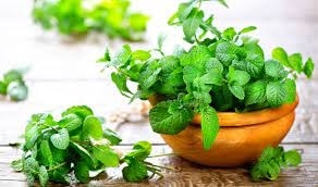 Những loại rau, củ nào hỗ trợ điều trị cúm A? 3