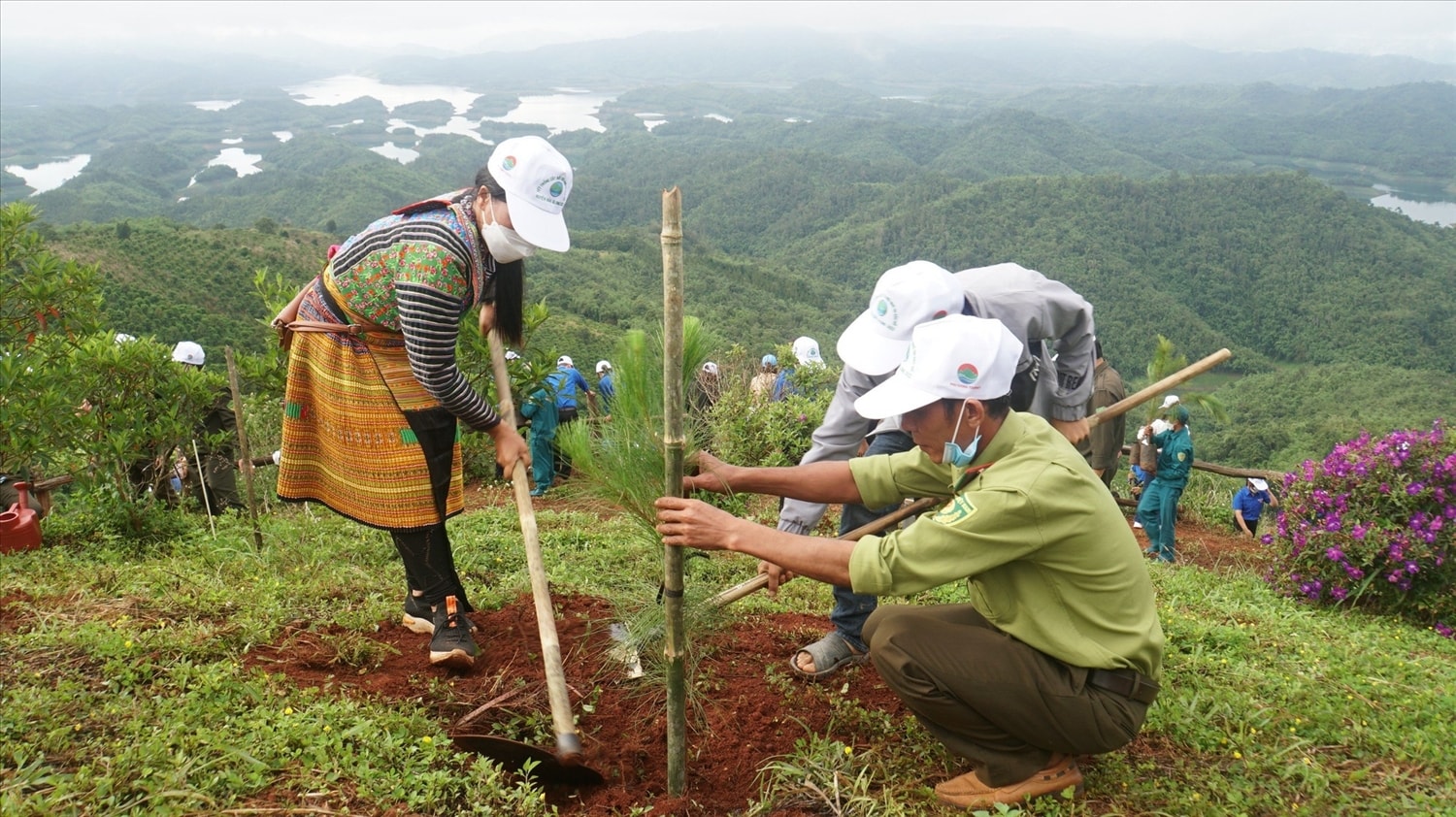 Mục tiêu chuyển đổi xanh được lồng ghép trong Chương trình phủ xanh đất trống đồi núi trọc, kế tiếp là Chương trình 5 triệu ha rừng. (Ảnh minh họa) Mục tiêu chuyển đổi xanh được lồng ghép trong Chương trình phủ xanh đất trống đồi núi trọc, kế tiếp là Chương trình 5 triệu ha rừng. (Ảnh minh họa)