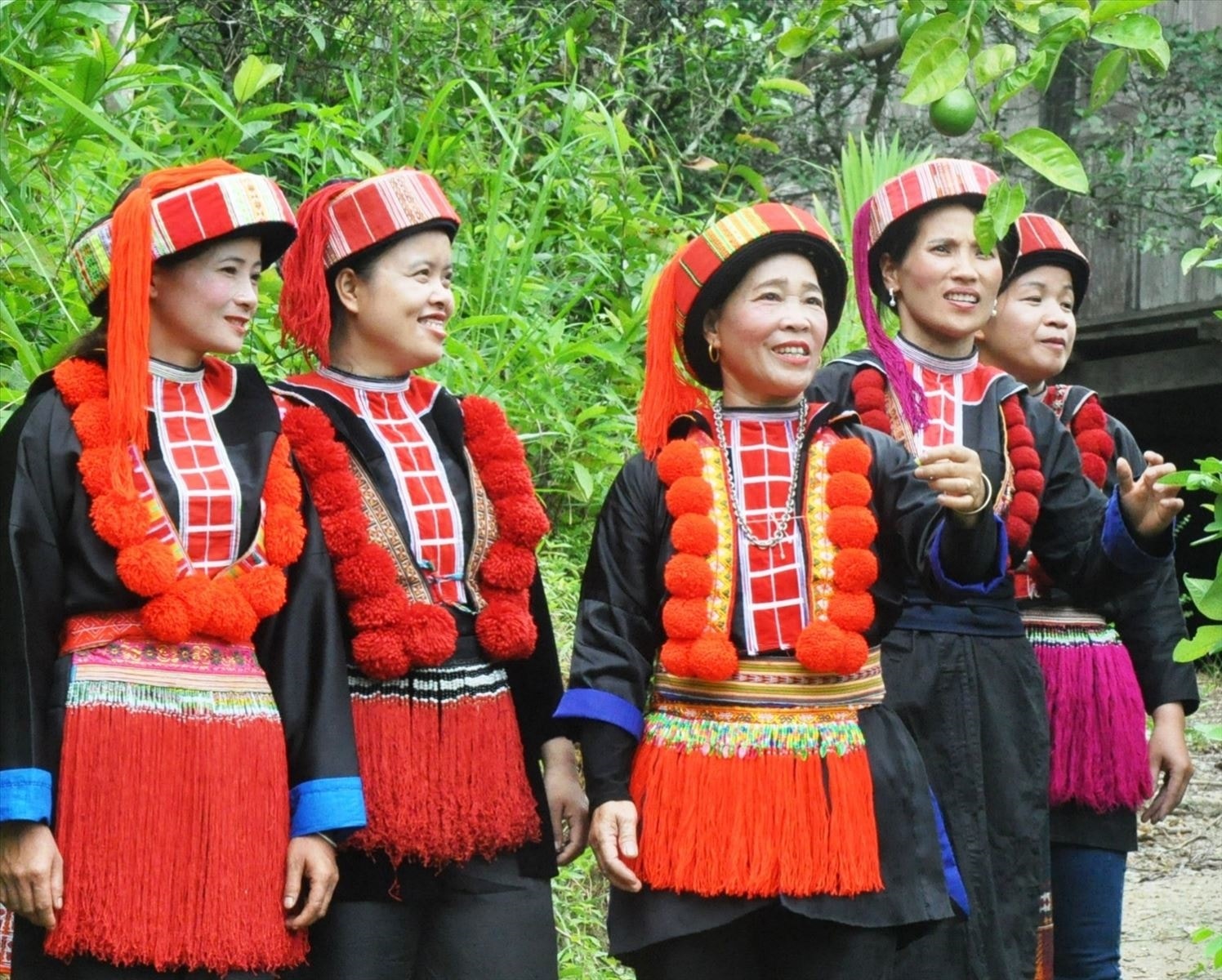 Ca khúc 