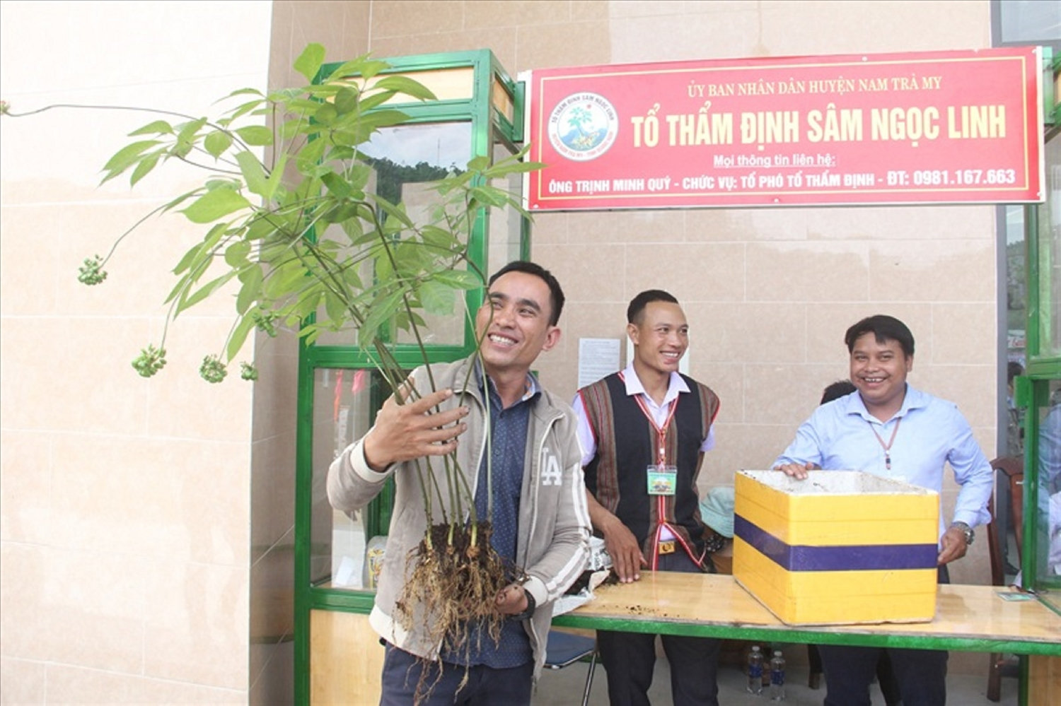 Cây sâm Ngọc Linh của anh Hồ Văn Thắng được rao bán với giá 900 triệu đồng