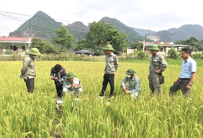 Liên đoàn Địa chất Bắc Trung Bộ khảo sát, đánh giá chi tiết hiện trạng, xác định nguyên nhân sụt lún tại xã Châu Hồng Liên đoàn Địa chất Bắc Trung Bộ khảo sát, đánh giá chi tiết hiện trạng, xác định nguyên nhân sụt lún tại xã Châu Hồng