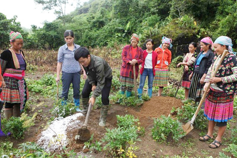 Đào tạo nghề cho lao động nông thôn là một mục tiêu trong chiến lược nâng cao chất lượng nguồn nhân lực. (Ảnh minh họa)