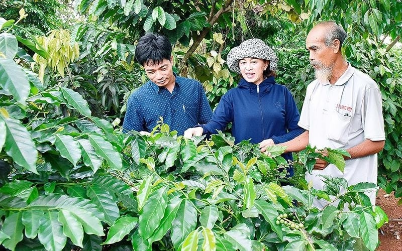 Ông Yơp (bên phải), Trưởng ban Công tác mặt trận làng Đê Hrel, thị trấn Kon Dơng (huyện Mang Yang, tỉnh Gia Lai) vận động dân làng chuyển đổi cây trồng, nâng cao thu nhập Ông Yơp (bên phải), Trưởng ban Công tác mặt trận làng Đê Hrel, thị trấn Kon Dơng (huyện Mang Yang, tỉnh Gia Lai) vận động dân làng chuyển đổi cây trồng, nâng cao thu nhập