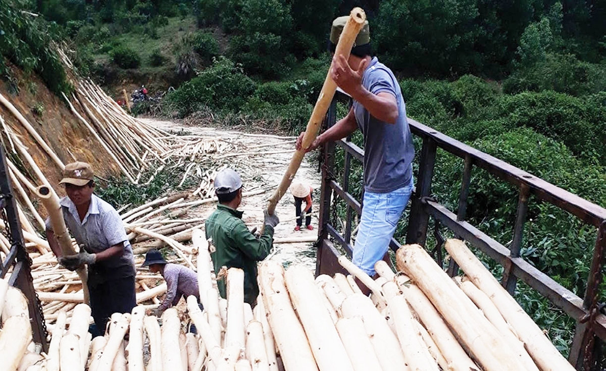 Đồng bào DTTS ở Xuân Lộc được thụ hưởng chính sách hỗ trợ phát triển sản xuất