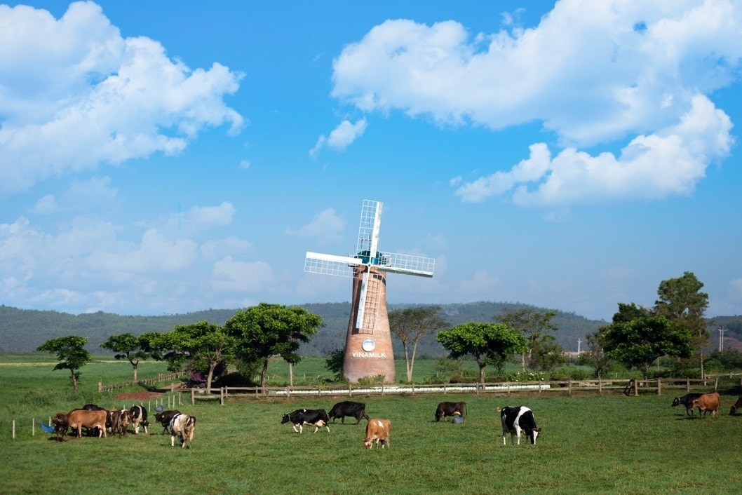 Trang trại bò sữa Vinamilk Organic Đà Lạt