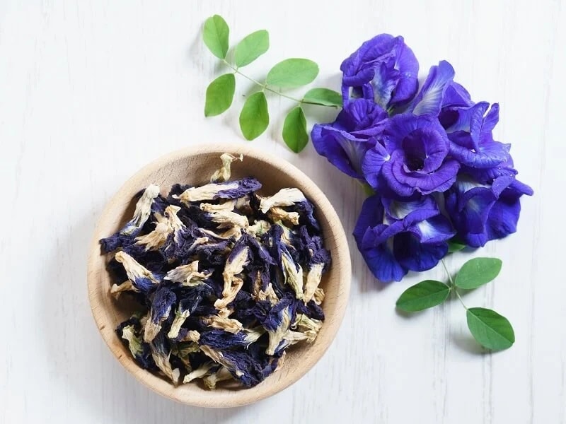 Lợi ích bất ngờ từ hoa đậu biếc 4