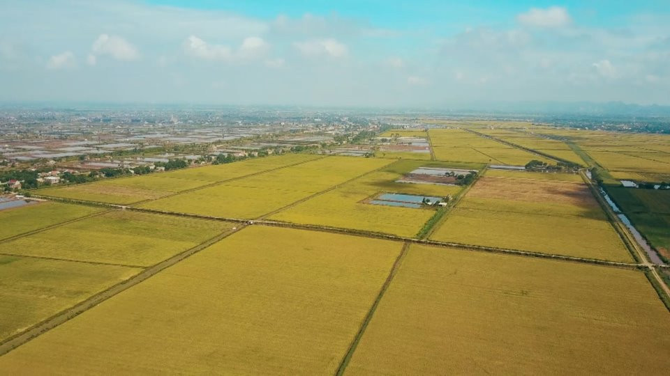 Tích tụ đất nông nghiệp là việc tăng quy mô diện tích đất nông nghiệp của người sử dụng đất để tổ chức sản xuất thông qua phương thức nhận chuyển nhượng, nhận góp vốn bằng quyền sử dụng đất mà có thực hiện chuyển quyền sử dụng đất