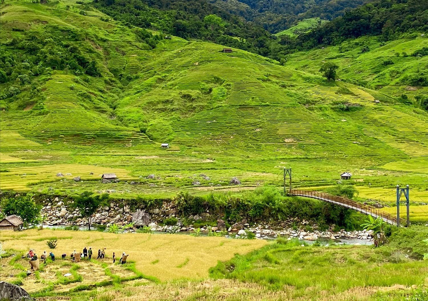 Cánh đồng ruộng bậc thang nhìn từ trên cao