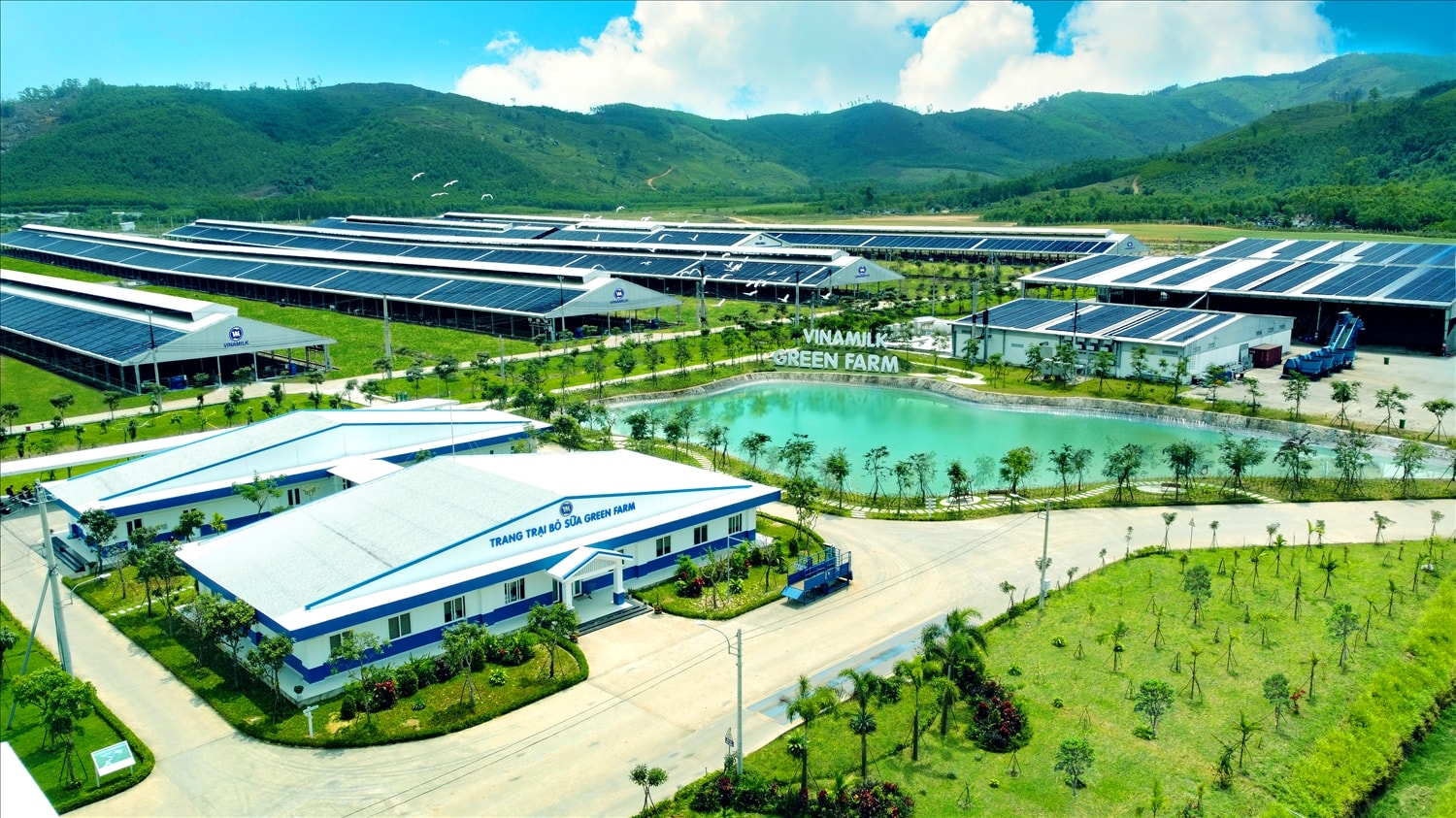 Trang trại sinh thái Vinamilk Green Farm – một điển hình về phát triển bền vững trong nông nghiệp được Vinamilk xây dựng 