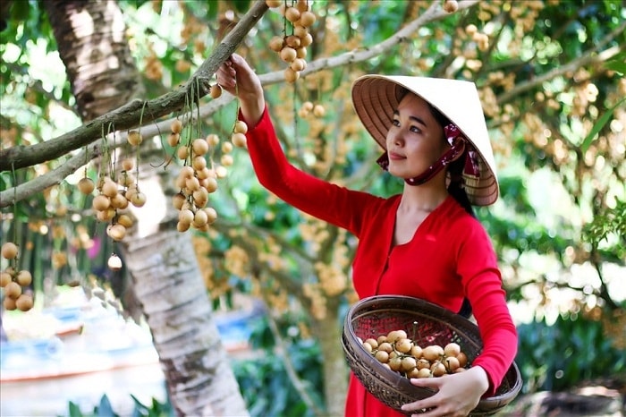 Thiếu nữ Cần Thơ trong vườn cây trái (Ảnh minh họa)