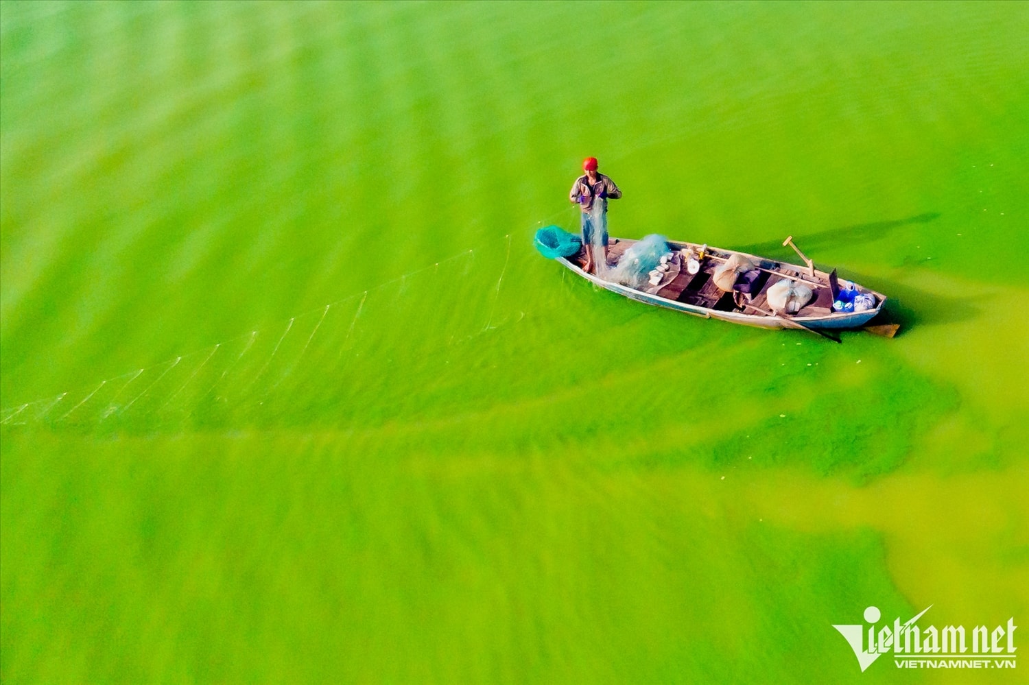 Một ngư dân cho biết, cá cơm là loại thu hoạch được nhiều nhất. Họ phải dùng nhiều cách để đánh bắt như: lưới kéo khơi, lưới giăng và đèn điện chiếu sáng để “dụ” cá. Loài cá cơm khi nhìn thấy ánh sáng sẽ tự bơi đến tìm thức ăn