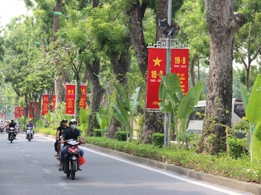 Đường Hoàng Diệu Đường Hoàng Diệu