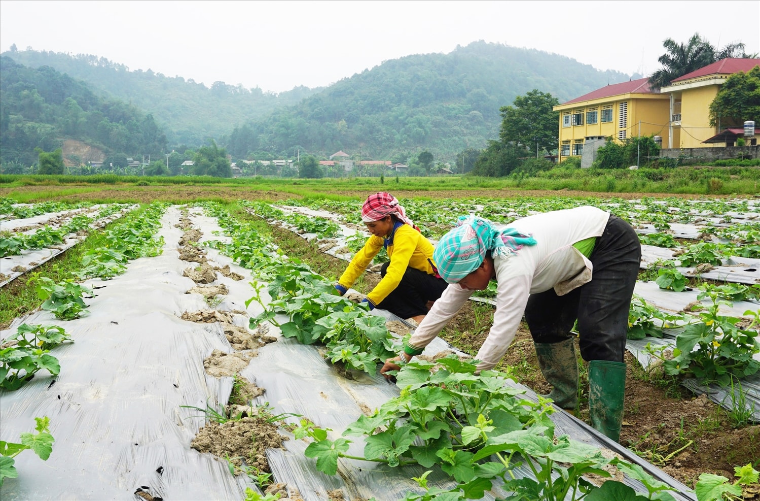 Giai đoạn 2021 - 2030, phấn đấu tỷ lệ nghèo đa chiều vùng Trung du và miền núi phía Bắc giảm 2 - 3%/năm