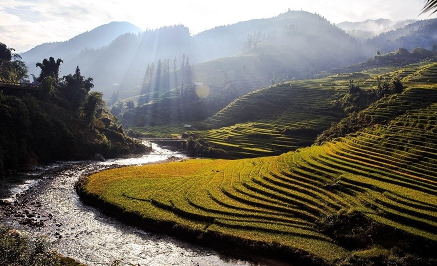 Ánh nắng chiếu qua làn mây rọi xuống các thửa ruộng càng tăng thêm vẻ đẹp của Sapa mùa vàng. (Ảnh: Quốc Khánh/TTXVN) Ánh nắng chiếu qua làn mây rọi xuống các thửa ruộng càng tăng thêm vẻ đẹp của Sapa mùa vàng. (Ảnh: Quốc Khánh/TTXVN)