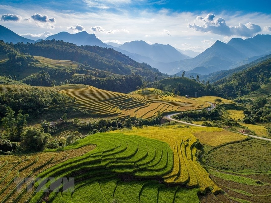 Những thửa ruộng bậc Sa Pa tuyệt đẹp dần chuyển mình từ xanh sang vàng. (Ảnh: Quốc Khánh/TTXVN) Những thửa ruộng bậc Sa Pa tuyệt đẹp dần chuyển mình từ xanh sang vàng. (Ảnh: Quốc Khánh/TTXVN)