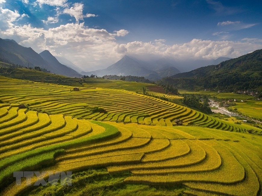 Vẻ đẹp quyến rũ của Sa Pa mùa lúa chín. (Ảnh: Quốc Khánh/TTXVN) Vẻ đẹp quyến rũ của Sa Pa mùa lúa chín. (Ảnh: Quốc Khánh/TTXVN)
