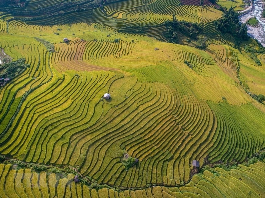Sa Pa đẹp như một bức tranh khi những thửa ruộng bậc thang của người đồng bào dần chuyển từ xanh sang vàng. (Ảnh: Quốc Khánh/TTXVN) Sa Pa đẹp như một bức tranh khi những thửa ruộng bậc thang của người đồng bào dần chuyển từ xanh sang vàng. (Ảnh: Quốc Khánh/TTXVN)
