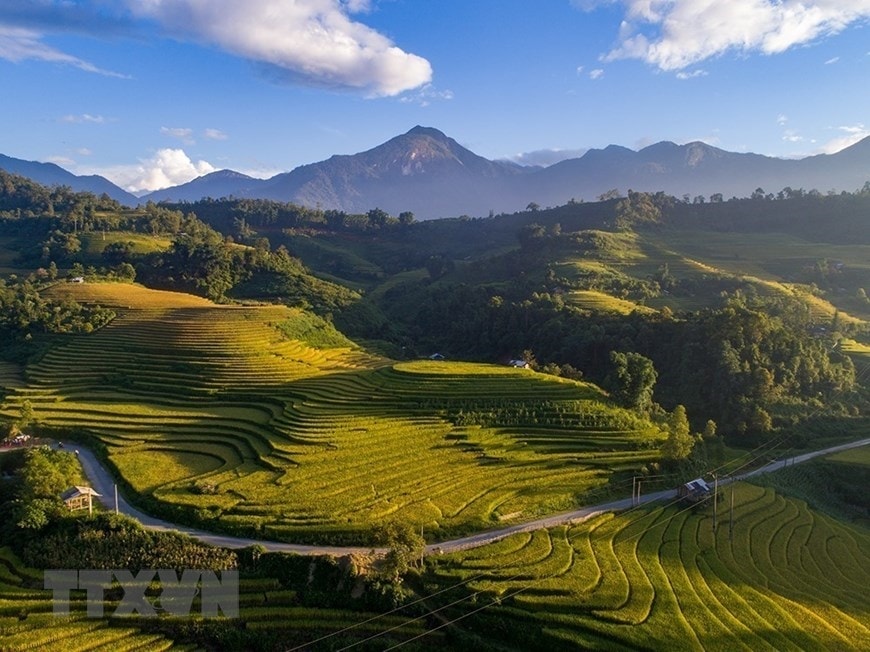 Chiều vàng Sa Pa. (Ảnh: Quốc Khánh/TTXVN) Chiều vàng Sa Pa. (Ảnh: Quốc Khánh/TTXVN)