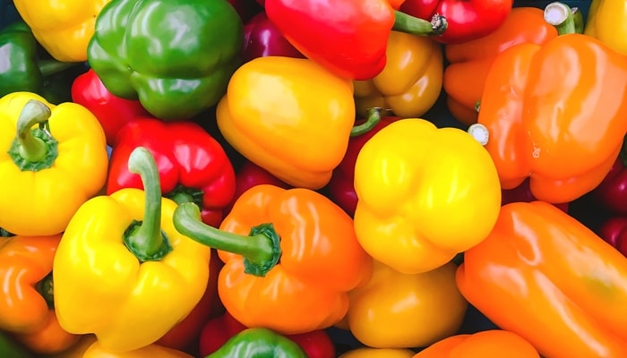 Kỹ thuật trồng và chăm sóc cây ớt ngọt  2