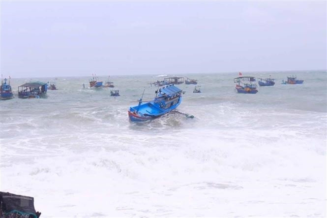 Ảnh minh hoạ Ảnh minh hoạ