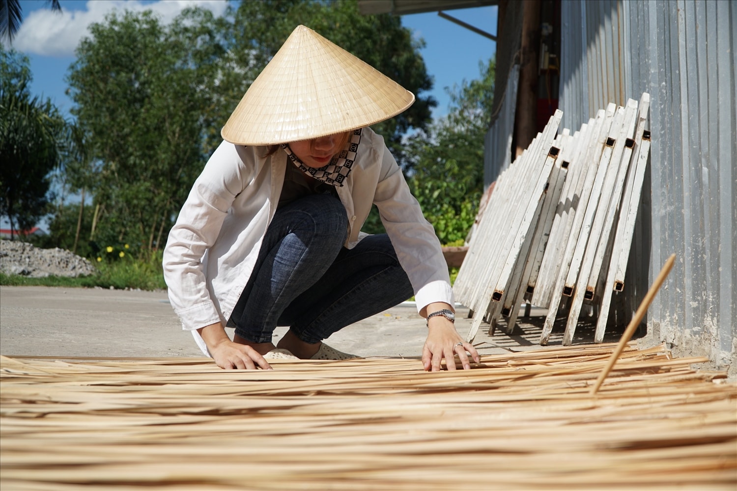 Các sản phẩm từ bồn bồn đem lại thu nhập cho nhiều phụ nữ nông thôn